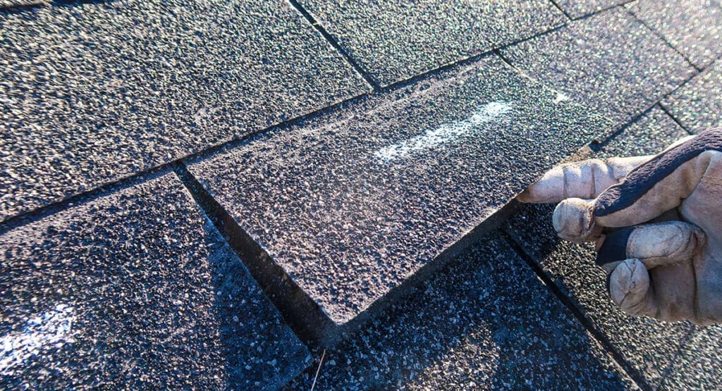 Gloved hand lifting a roof shingle for inspection or repair on an asphalt roof.