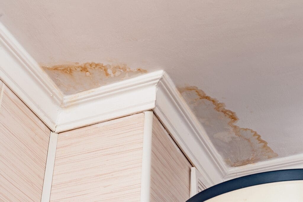 Find Roof leaks