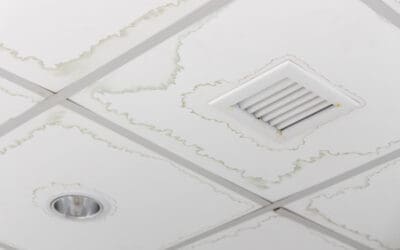 Inside a Roof Leak: What’s Really Happening Overhead