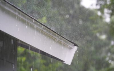 What to do Immediately After a Storm Hits your Roof