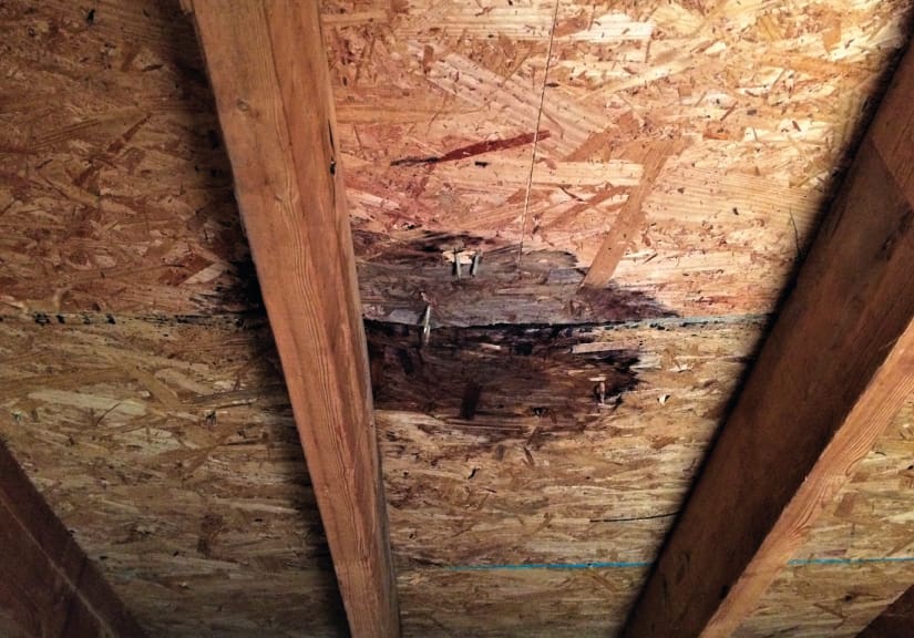 ceilings inspection for water damage
