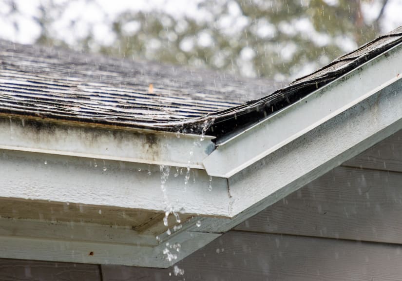 winter storms shingle roof